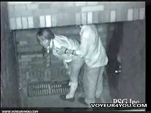 Màu tím chó có một n ...